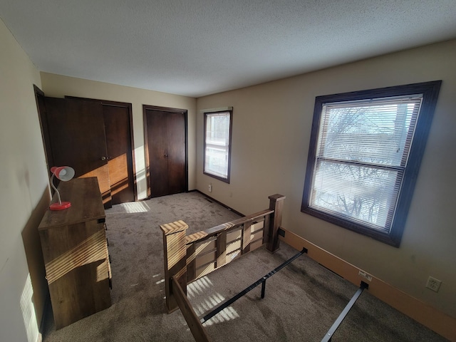 bedroom with carpet, two closets, and a textured ceiling