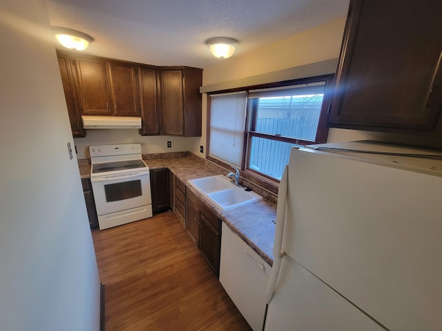 kitchen with sink, white appliances, dark brown cabinetry, light hardwood / wood-style floors, and a textured ceiling