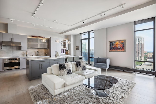 living room with floor to ceiling windows, plenty of natural light, and light wood-type flooring