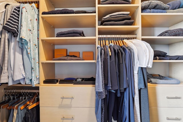 view of spacious closet