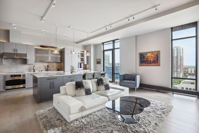 201 11th St Unit 1140, Minneapolis, MN 55403 - living area with rail lighting, light wood finished floors, a healthy amount of sunlight, and a wall of windows