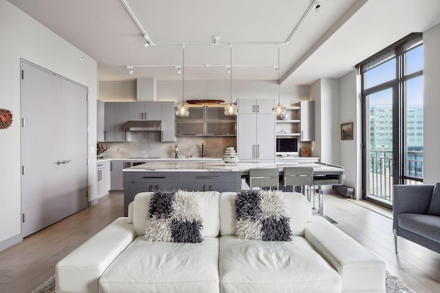 201 11th St Unit 1140, Minneapolis, MN 55403 - living area featuring rail lighting and wood finished floors