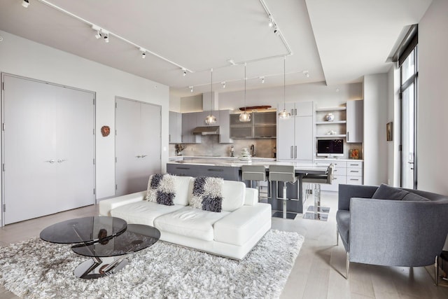 201 11th St Unit 1140, Minneapolis, MN 55403 - living area featuring rail lighting and light wood finished floors
