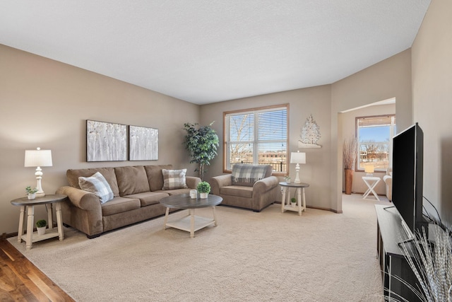 living room with a wealth of natural light, baseboards, and carpet floors