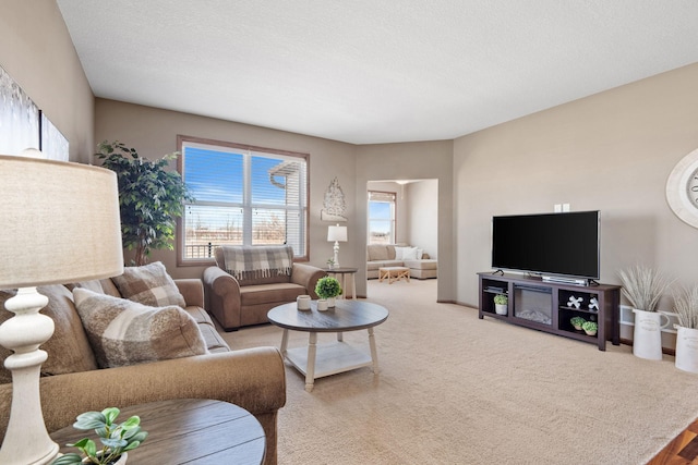 living room featuring baseboards, carpet, and a textured ceiling