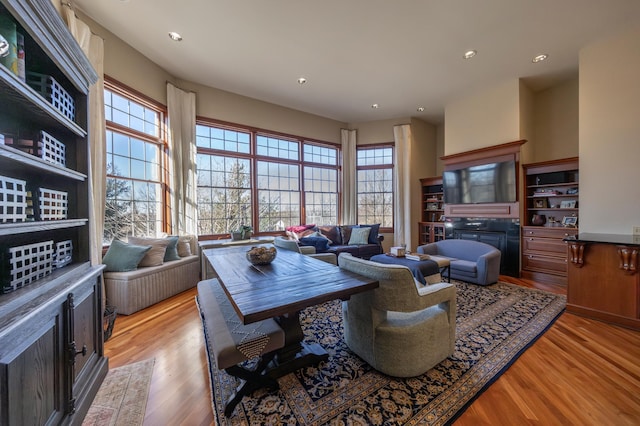 living room with light hardwood / wood-style flooring