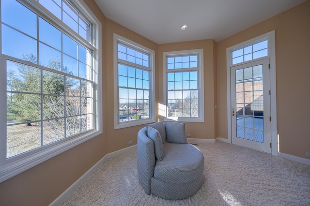 living area featuring carpet flooring