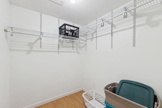 spacious closet with wood-type flooring