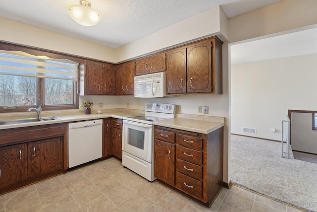 kitchen with sink, white appliances, dark brown cabinets, a textured ceiling, and light colored carpet