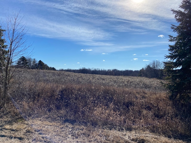 31639 Park Trl, Center City MN, 55012 land for sale