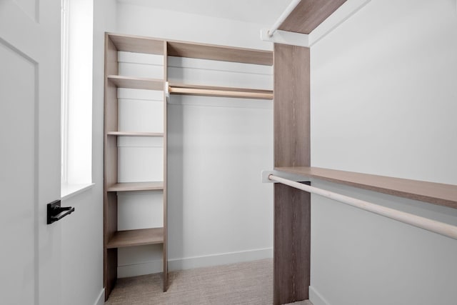 spacious closet featuring light colored carpet