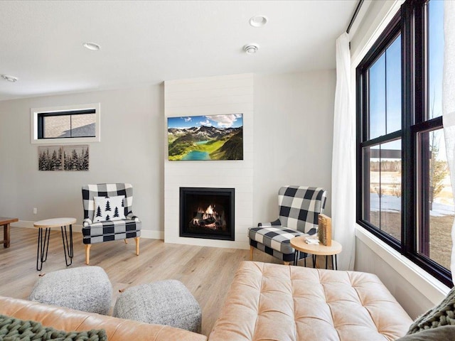 living room with a large fireplace, a wealth of natural light, and light wood-type flooring