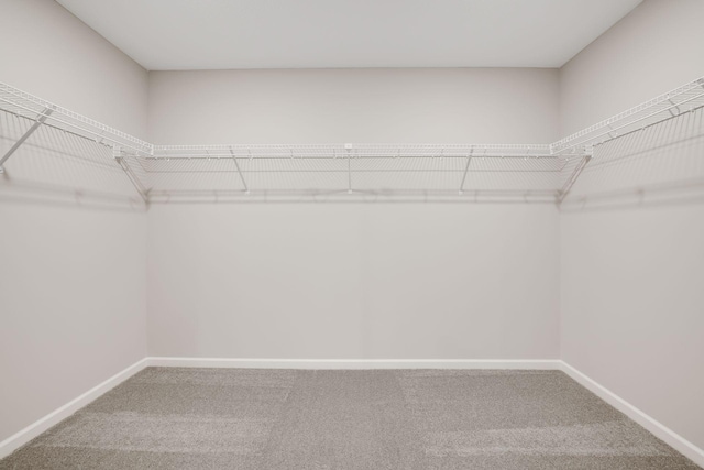 spacious closet with carpet