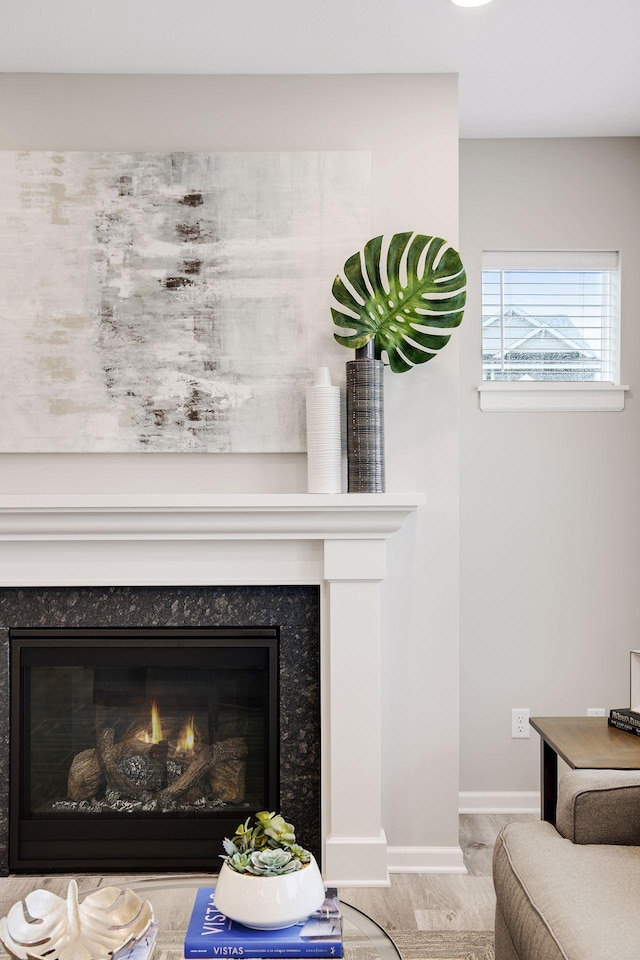 room details with a high end fireplace and baseboards