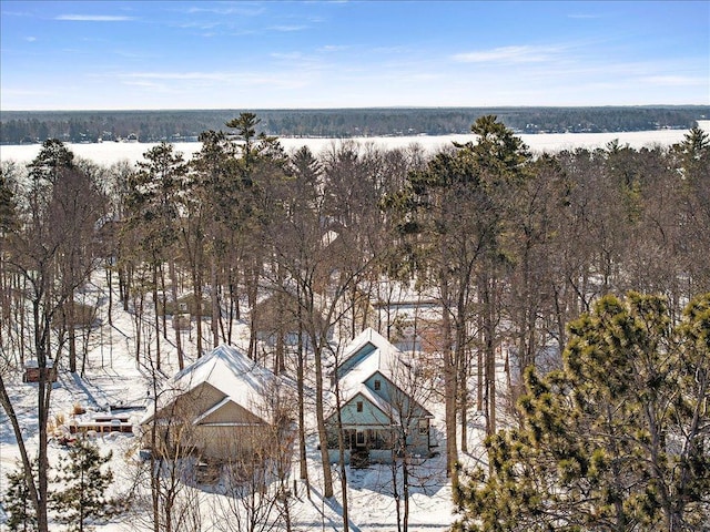 view of snowy aerial view