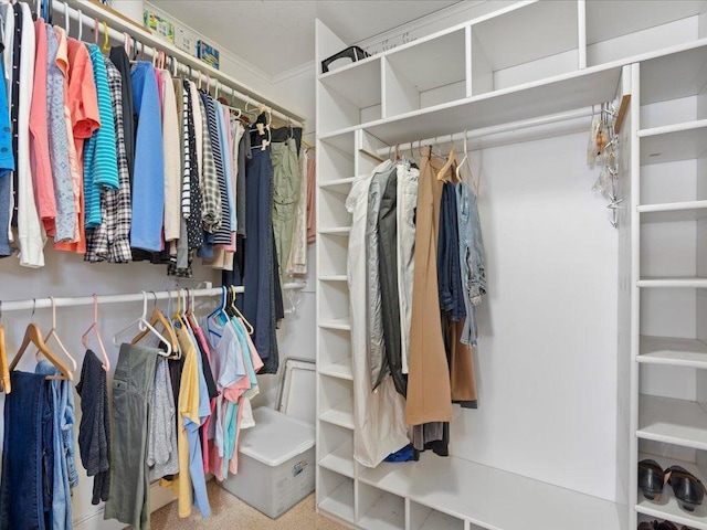 view of walk in closet