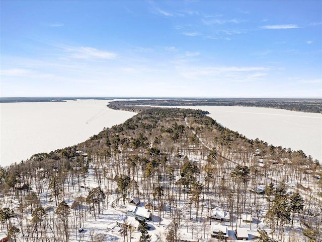 snowy aerial view with a water view