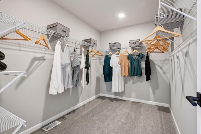 walk in closet with carpet flooring