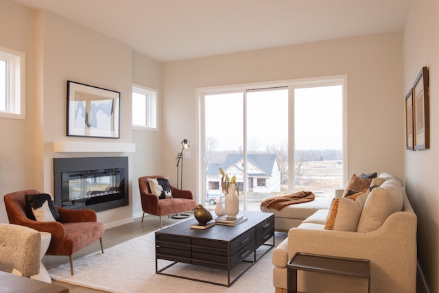 living area featuring a glass covered fireplace and light wood-style flooring