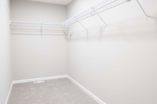 spacious closet featuring carpet floors and visible vents