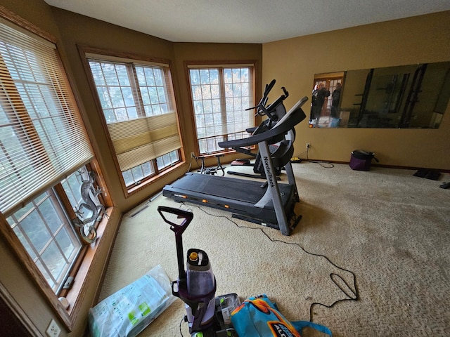 exercise area with carpet floors