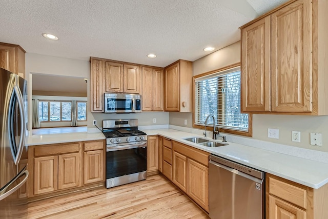 kitchen featuring stainless steel appliances, sink, a wealth of natural light, and light wood-type flooring