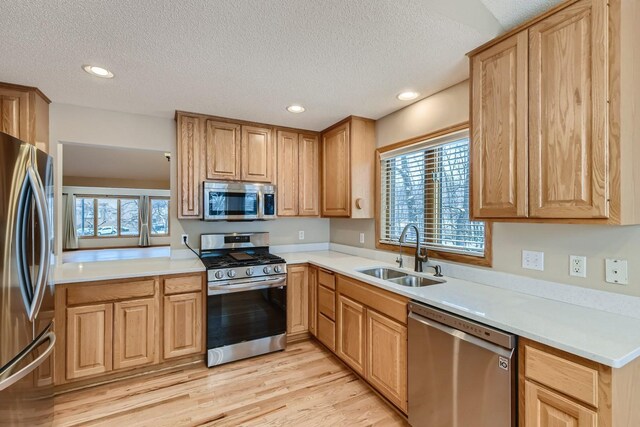 kitchen featuring a sink, a textured ceiling, appliances with stainless steel finishes, and light wood-style flooring
