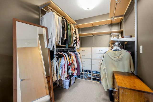 spacious closet with carpet floors