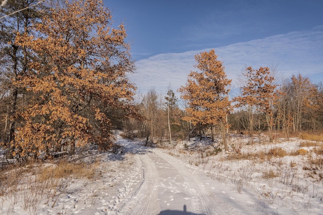 view of road