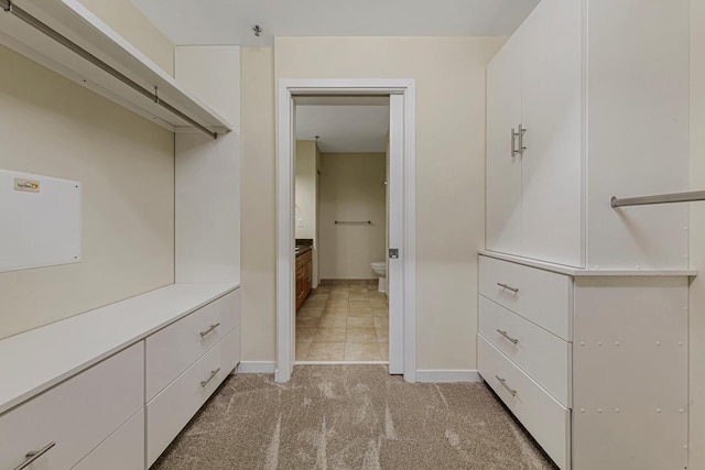 929 Portland Ave Unit 406, Minneapolis, MN 55404 - spacious closet featuring light colored carpet