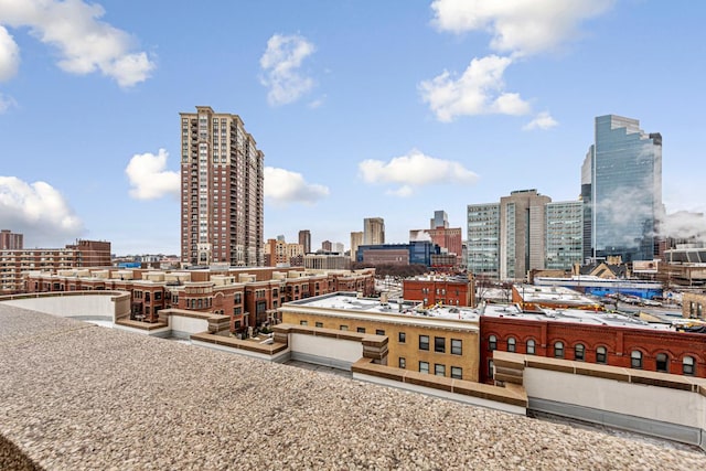929 Portland Ave Unit 406, Minneapolis, MN 55404 - view of city skyline