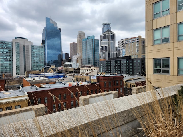 929 Portland Ave Unit 406, Minneapolis, MN 55404 - skyline view