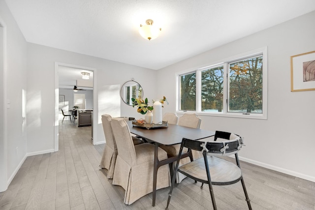 dining area featuring light hardwood / wood-style flooring