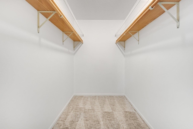 spacious closet featuring light carpet