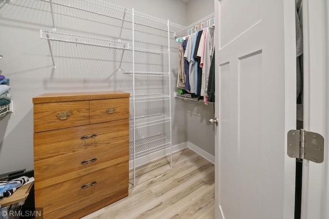 spacious closet featuring light wood-type flooring