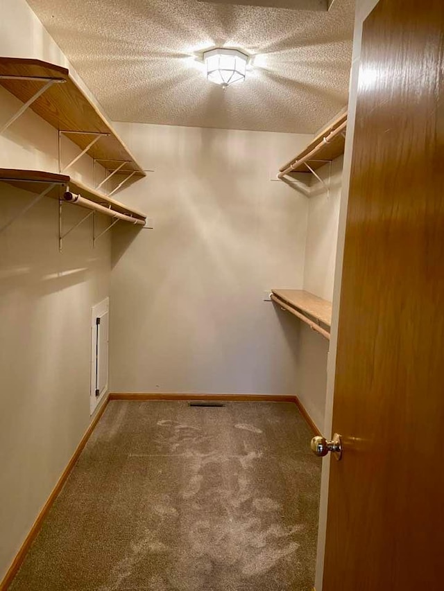 walk in closet with carpet floors