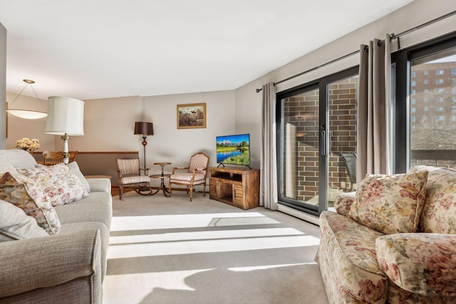 6615 Lake Shore Dr S Unit 403, Richfield, MN 55423 - living area with carpet floors