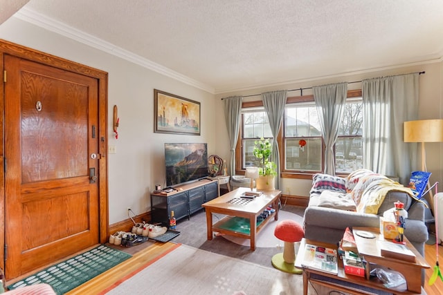 living room featuring hardwood / wood-style floors, ornamental molding, and a textured ceiling