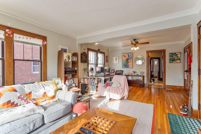 living room featuring crown molding, radiator, ceiling fan, and light wood-type flooring