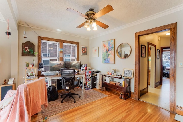 office with crown molding, a wealth of natural light, a textured ceiling, and light wood-type flooring