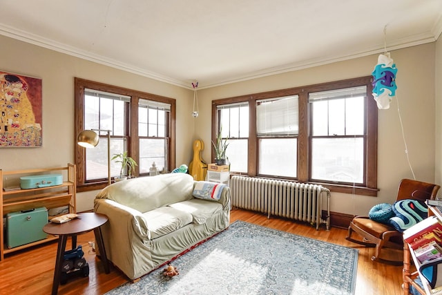 interior space featuring hardwood / wood-style flooring, crown molding, and radiator