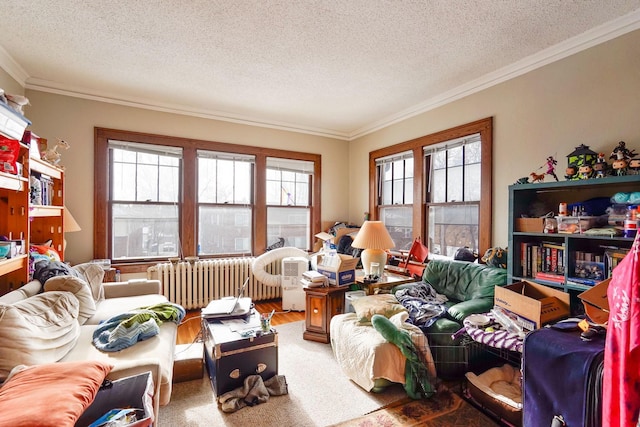 living room featuring ornamental molding, radiator heating unit, and a textured ceiling