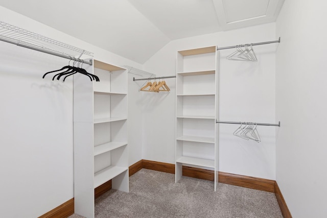 spacious closet with lofted ceiling and carpet