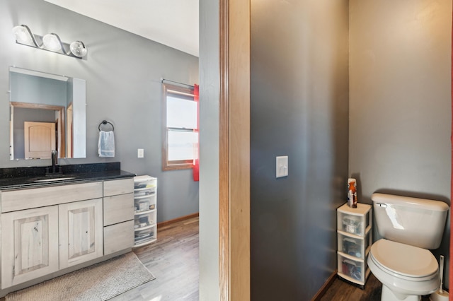 bathroom with hardwood / wood-style flooring, vanity, and toilet