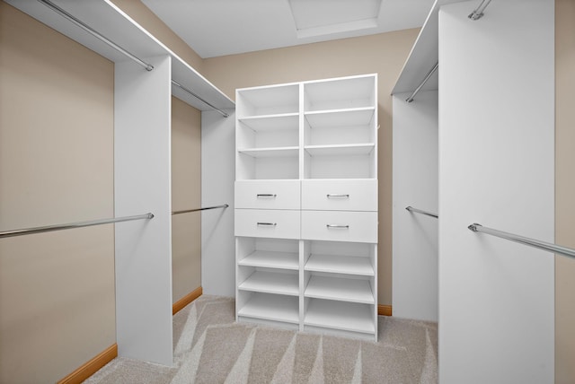 spacious closet with light carpet