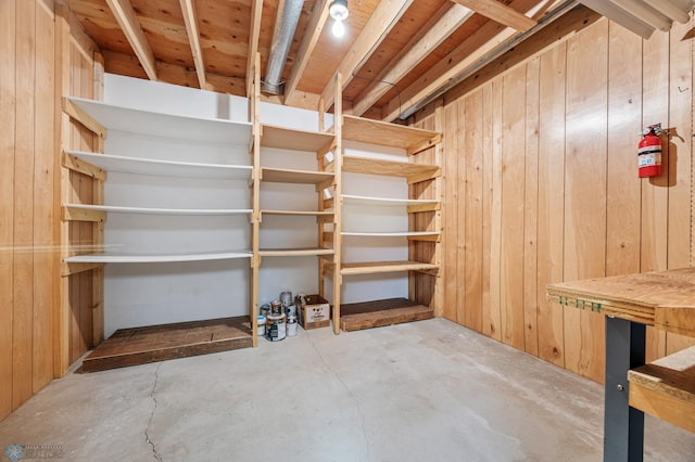 basement with wooden walls