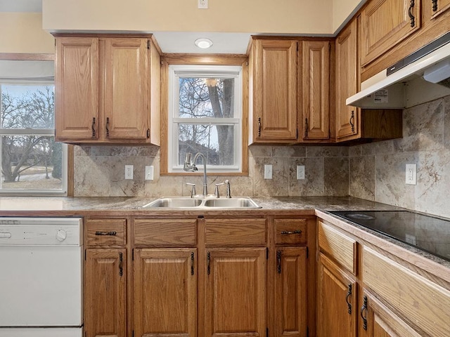 kitchen with black electric stovetop, decorative backsplash, white dishwasher, a sink, and under cabinet range hood