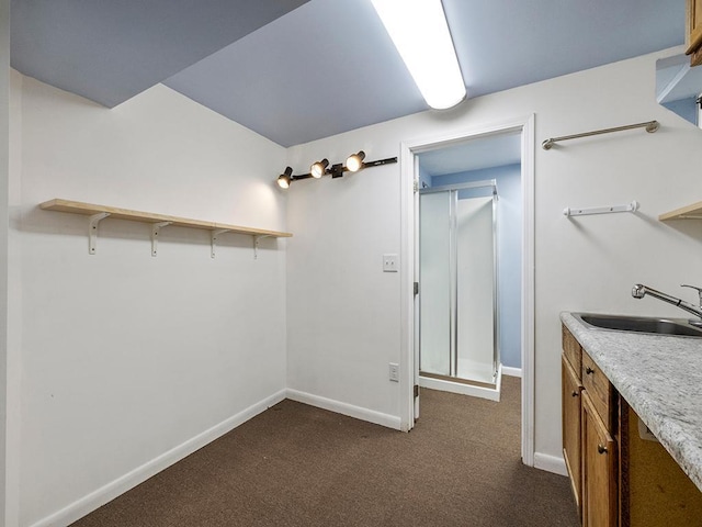 interior space with dark carpet and a sink