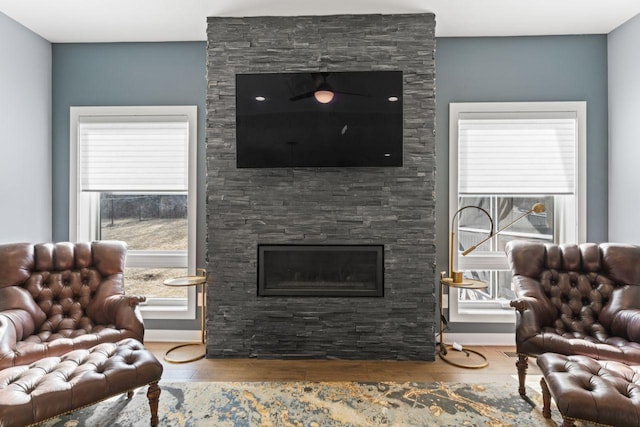 living room featuring a fireplace and wood-type flooring