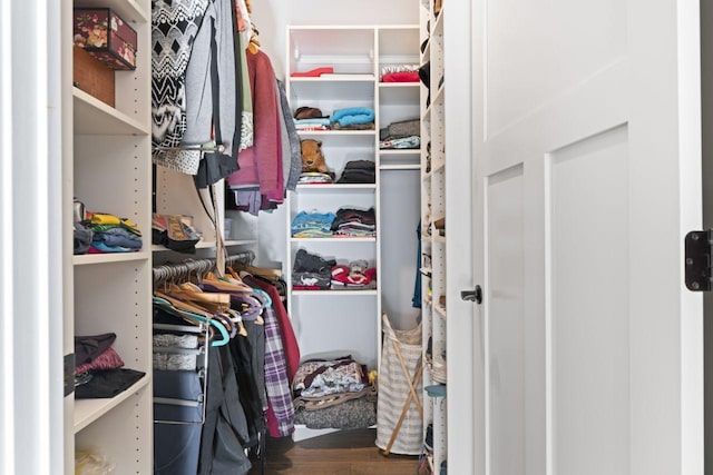 spacious closet with hardwood / wood-style flooring